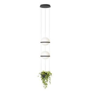 /vibia-palma-suspenso_0006_Layer 6_1